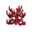fire_coral